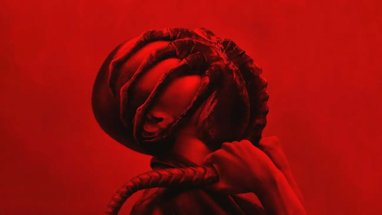 Fondo